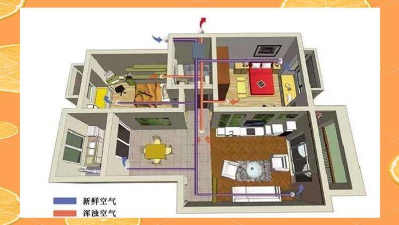 检验检疫技术中心：未来之路在哪？
